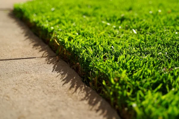 Preparing Your Hervey Bay Yard for New Turf